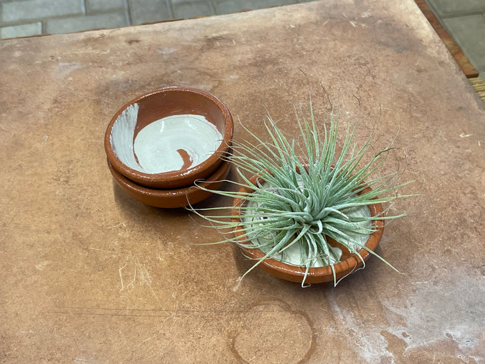 Our Lady Pottery - Dish