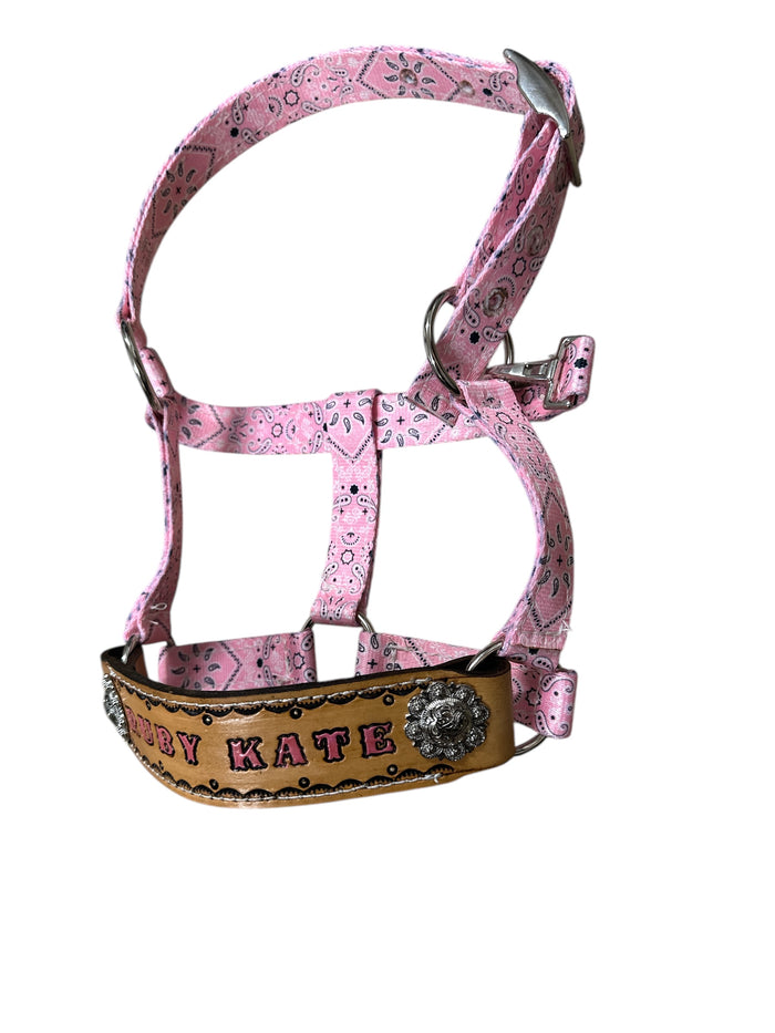 PERSONALIZED pink bandana nylon horse halter or pony halter.