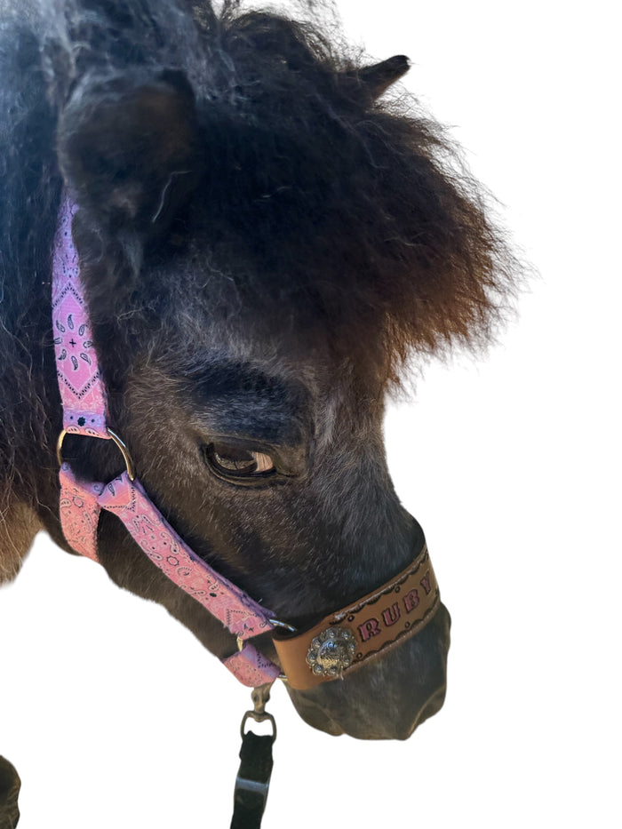 PERSONALIZED pink bandana nylon horse halter or pony halter.