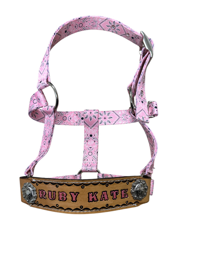 PERSONALIZED pink bandana nylon horse halter or pony halter.