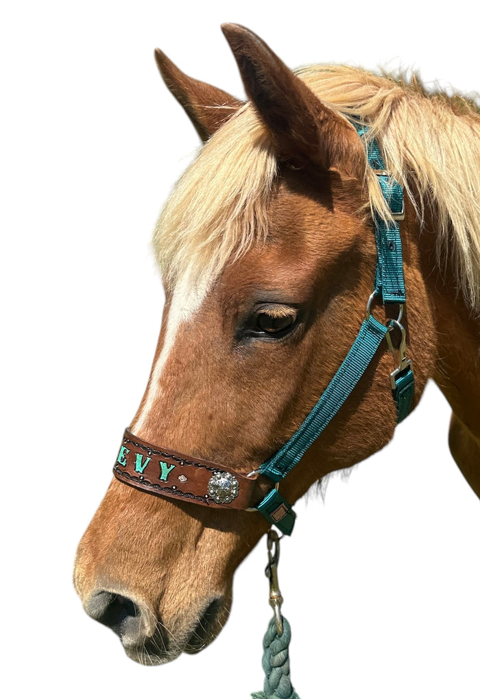 PERSONALIZED teal nylon horse halter