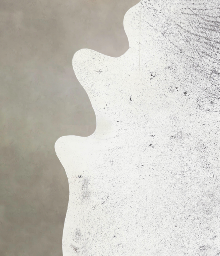 Salt and Pepper Black Cowhide Rug #A29264