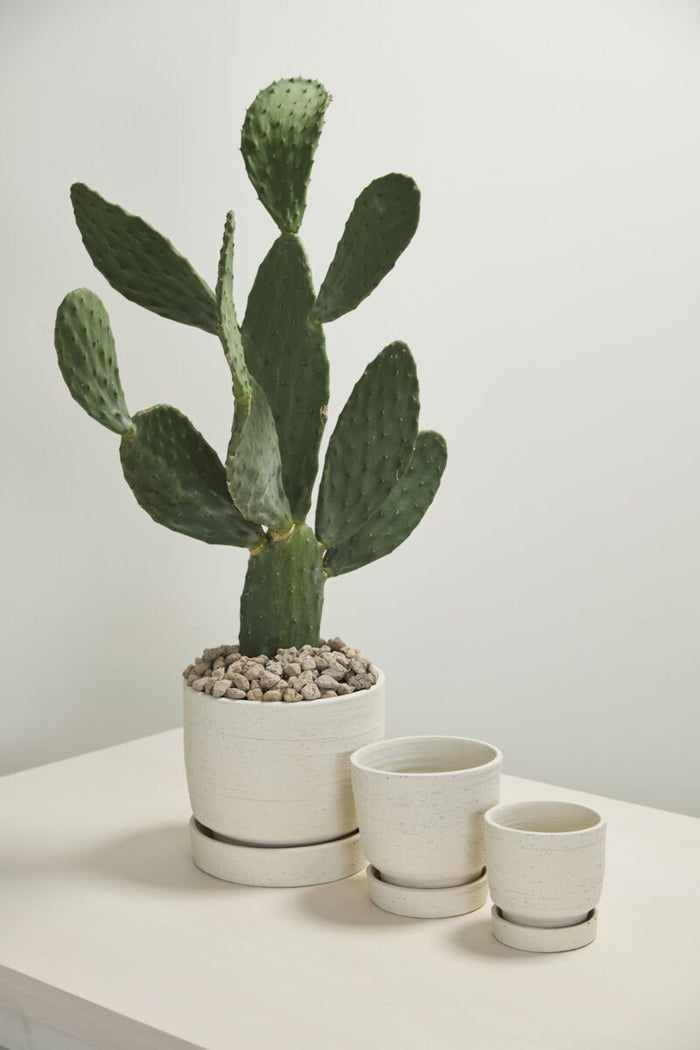 Salvage Pot