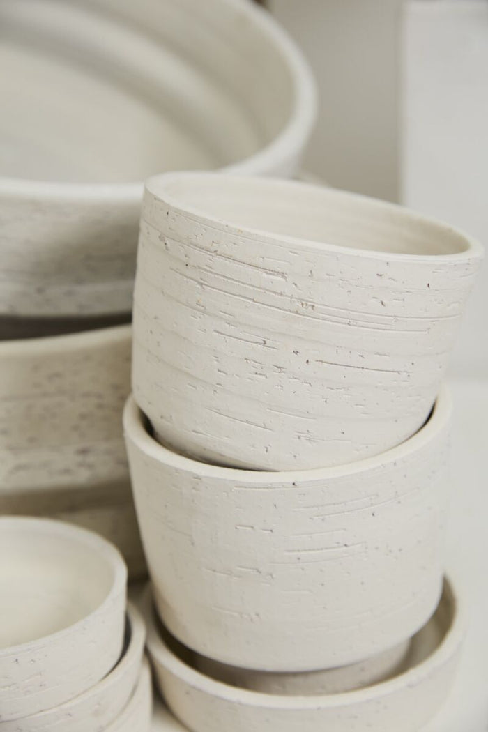 Salvage Pot