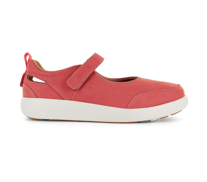 Skip Sunset Coral