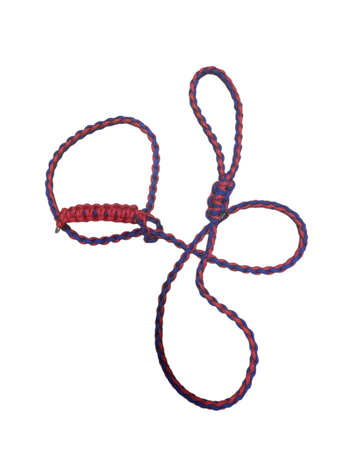 Small livestock adjustable halter and lead, sheep, alpaca, small cow with a handle