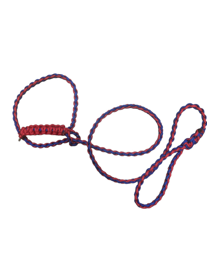 Small livestock adjustable halter and lead, sheep, alpaca, small cow with a handle