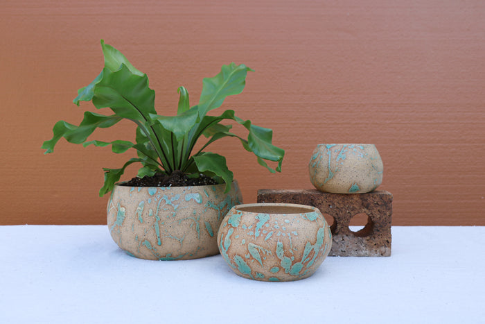 Splatter Planter