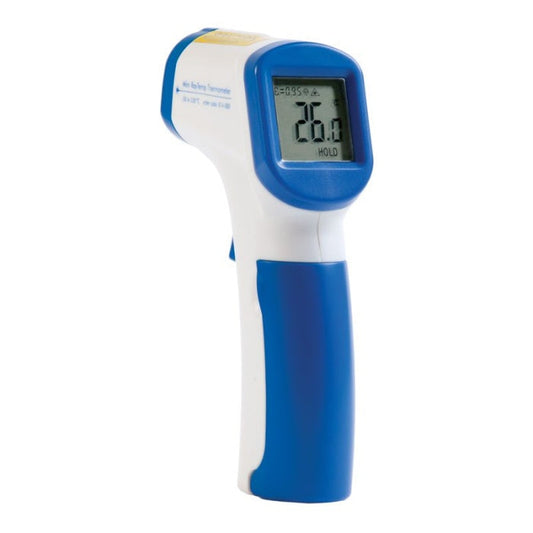 Thermometer Mini Raytemp Infared