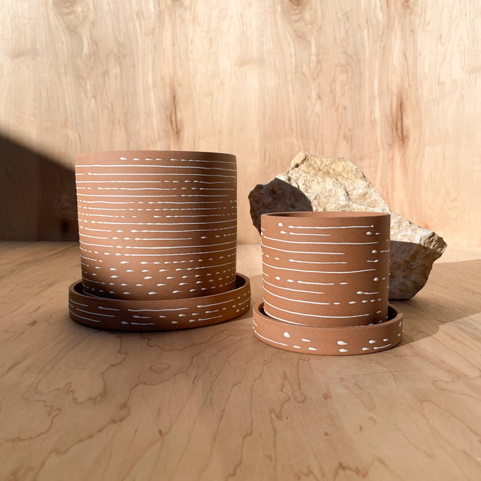 Toast Planter - Night Sky